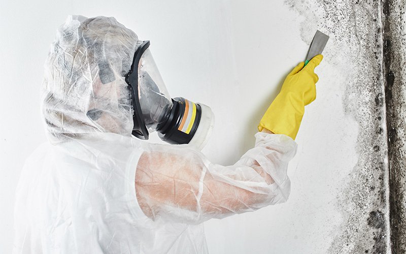 Doctor Clean professional scraping mould off a white wall.