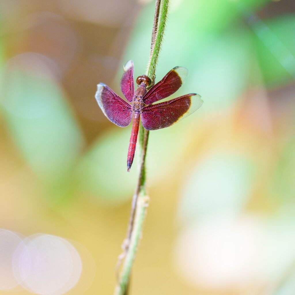 Photo by Jens F via Pexels