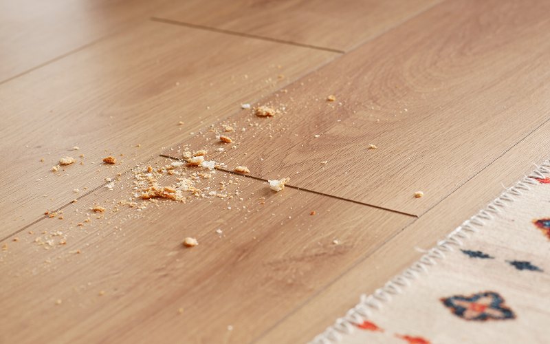 Food crumbs and accumulated dust on a wooden floor.