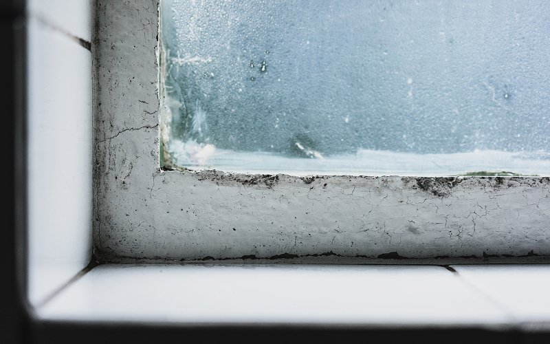 Mold growing on window frame from high house humidity.